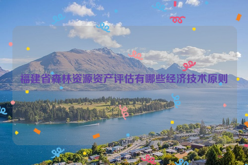 福建省森林資源資產(chǎn)評估有哪些經(jīng)濟技術(shù)原則