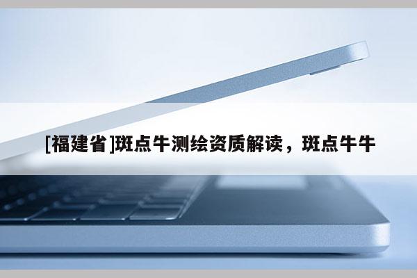 [福建省]斑點牛測繪資質解讀，斑點牛牛