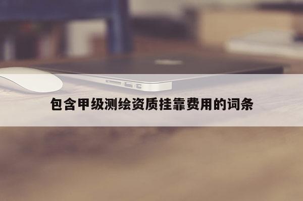 包含甲級測繪資質掛靠費用的詞條