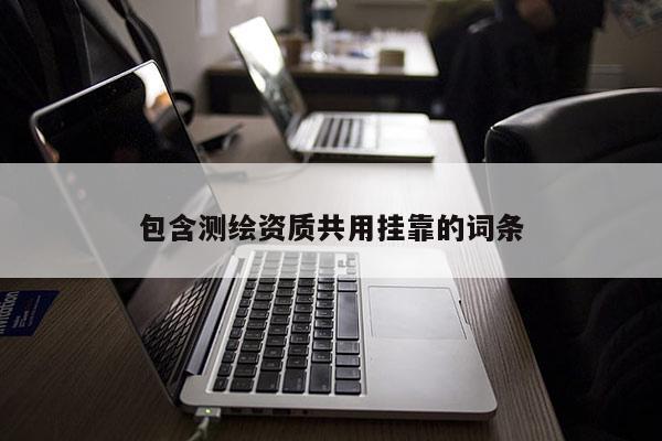 包含測繪資質共用掛靠的詞條