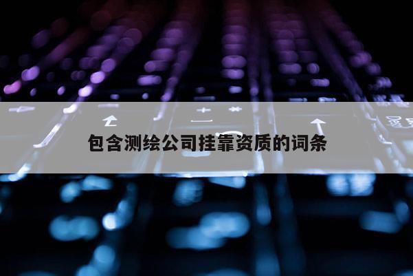 包含測繪公司掛靠資質的詞條