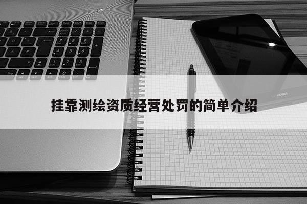 掛靠測繪資質經營處罰的簡單介紹